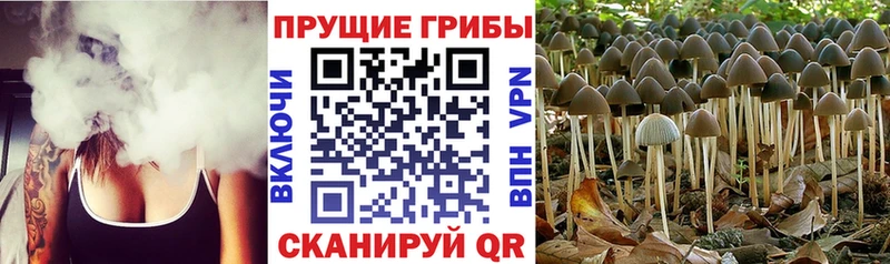 Галлюциногенные грибы мухоморы  площадка телеграм  Андреаполь 