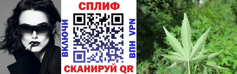 Каннабис ГИДРОПОН цены Андреаполь